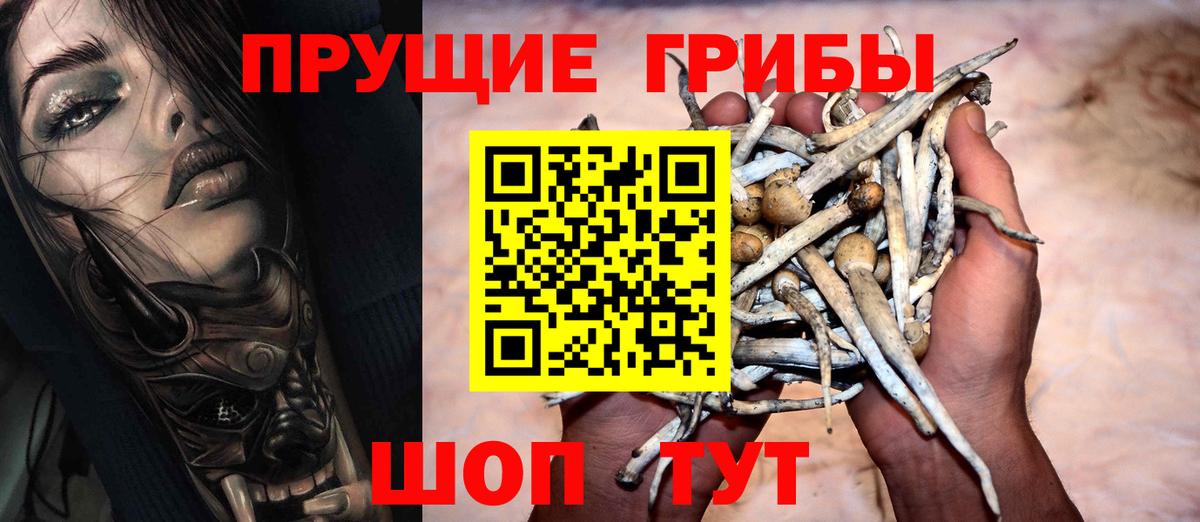 Псилоцибиновые грибы Cubensis  Вход с VPN  Артёмовский 