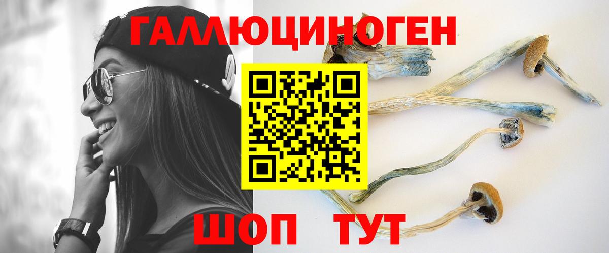 Псилоцибиновые грибы мухоморы Артёмовский